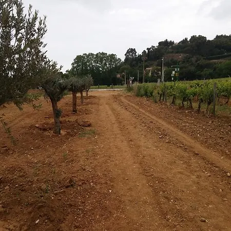 شقة Gigaro لا كروا فالميه