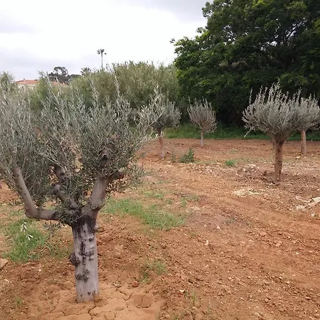 شقة Gigaro لا كروا فالميه