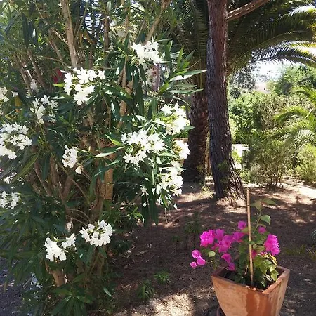 Gigaro